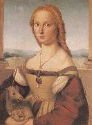 RAFFAELLO Sanzio Portrait of younger woman oil painting